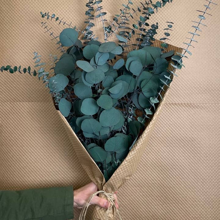 Andaluca - Wholesale Dried/Pressed Flowers - Silver Dollar & Baby Eucalyptus 8 ounce Preserved Bundle