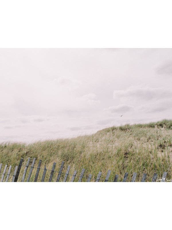 Seaduced for wholesale by The Sunset Shop