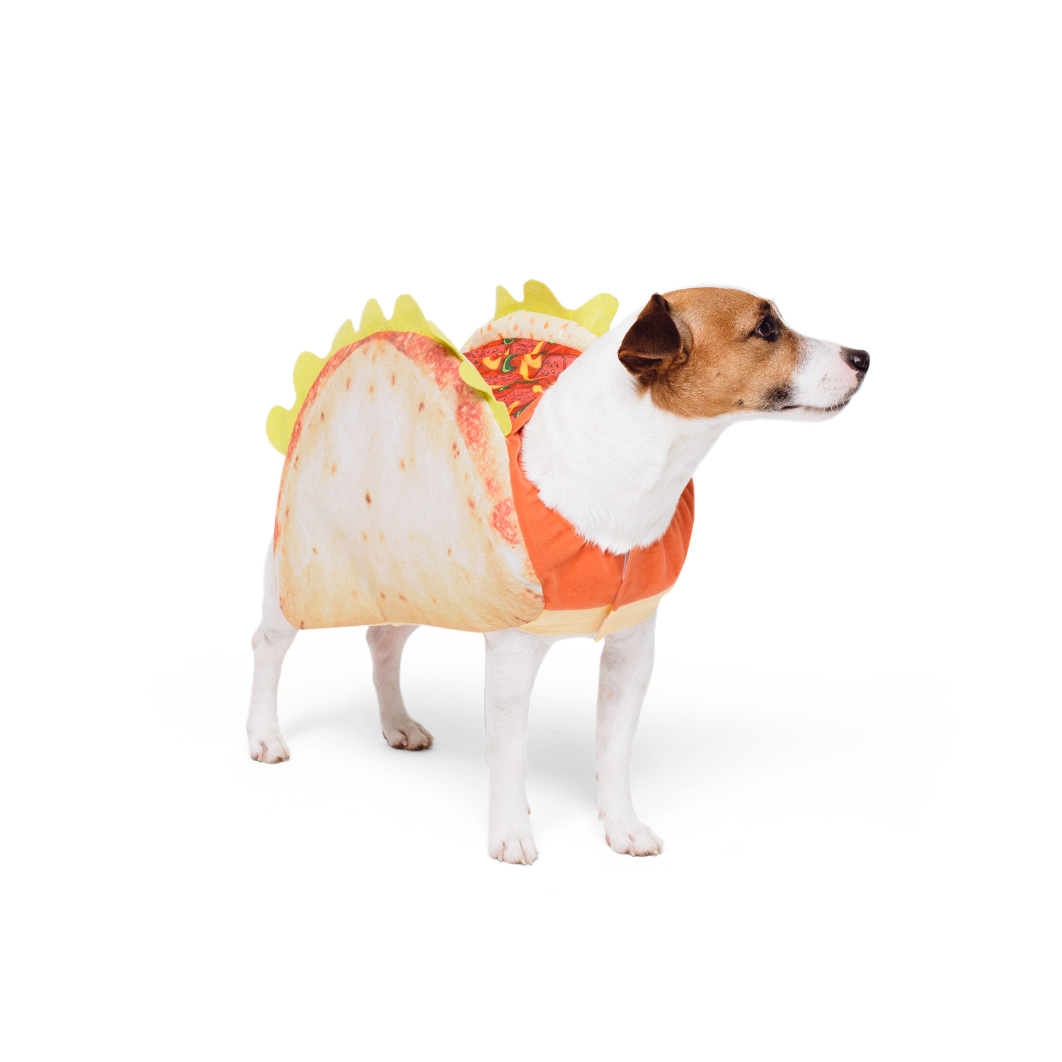 Show & Tail - Vendita all'ingrosso Costume da carnevale - Cani - Costume per cani taco 'Spec-Taco-Ler' - Abbigliamento per animali domestici1