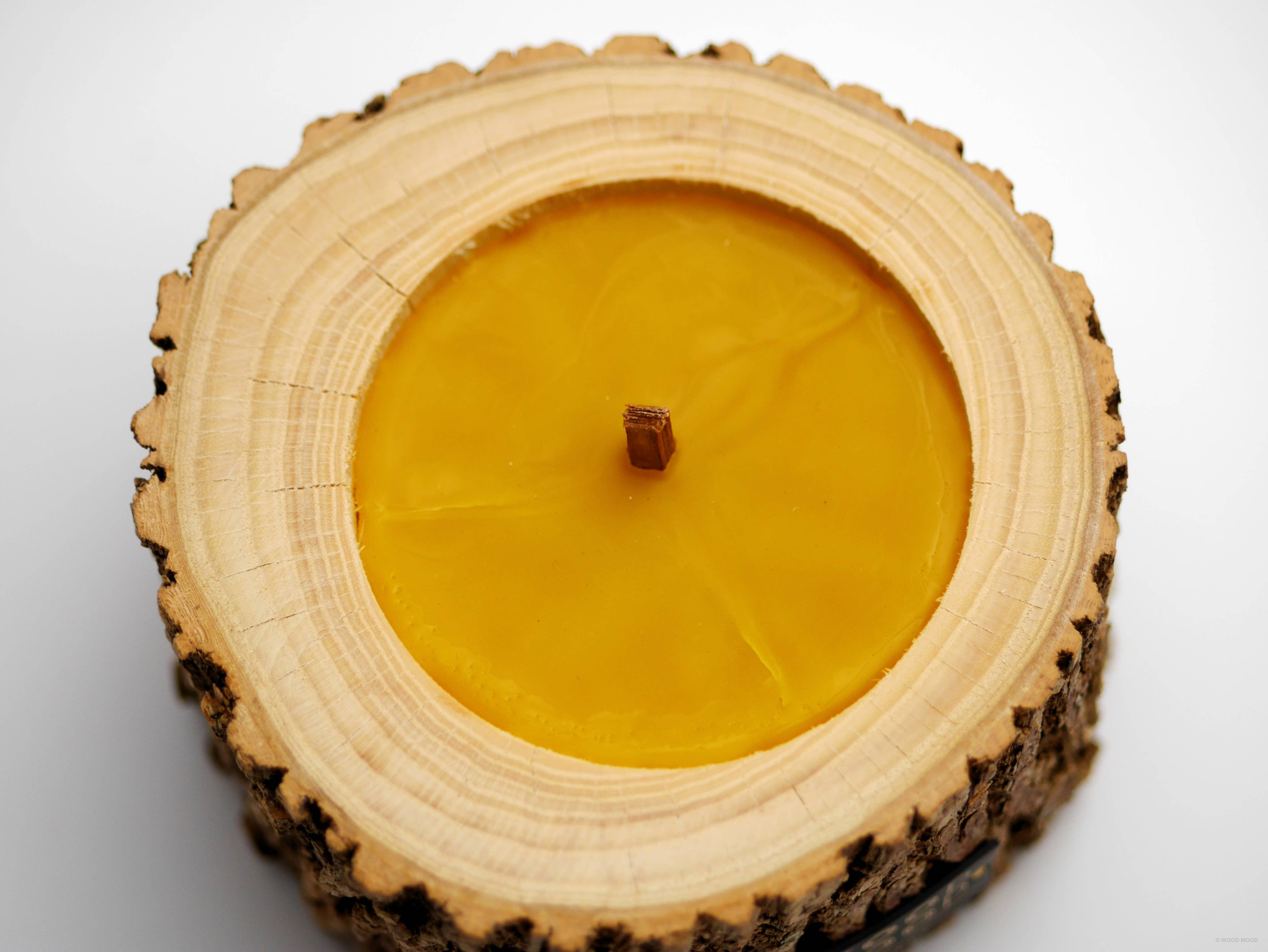 WOOD MOOD - Wholesale Jar/Filled Candle - Rocky Patio | interior candle with pine tree essential oil8