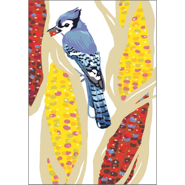 RBI-229 Blue Jay Bird & Fall/Autumn Harvest Corn Art Print for wholesale by Rigel Paper