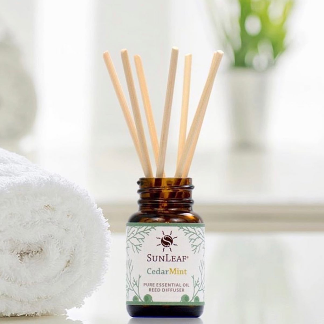 SunLeaf Naturals - Wholesale Reed Diffuser - 1 oz Reed Diffuser - Olibanum Spruce3