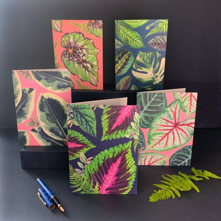 Rocket 68 - Wholesale Everyday Greeting Card - Pretty Mixed Houseplants Card1