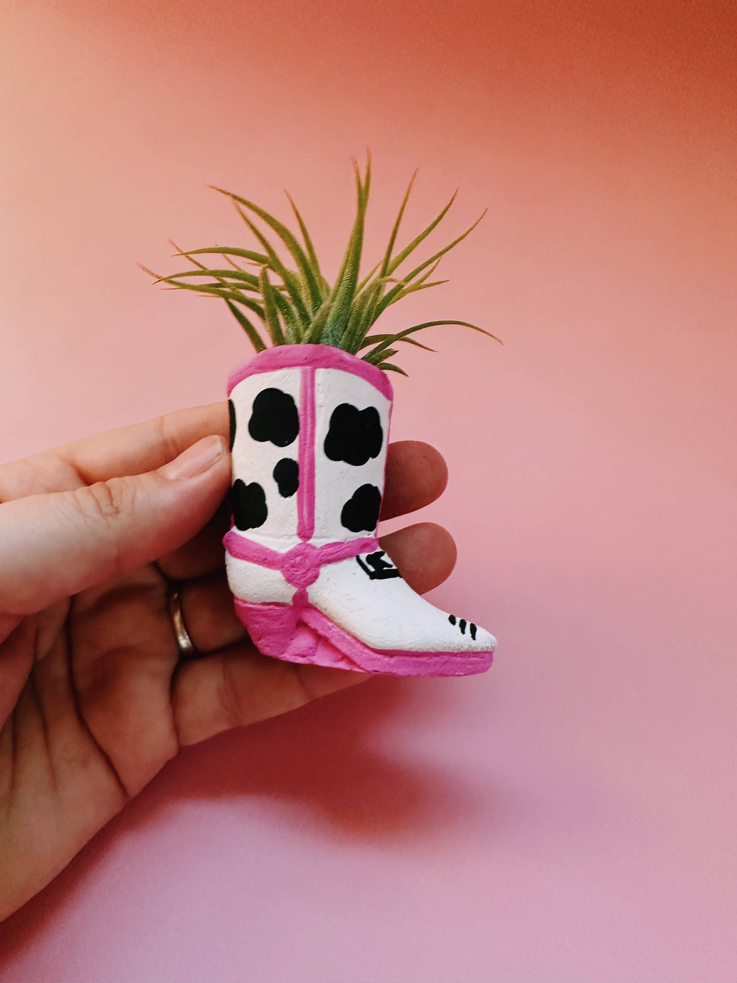 O'Berry's Succulents - Wholesale Live Plant - Cow Print Mini Western Boot Planter and Air Plant2