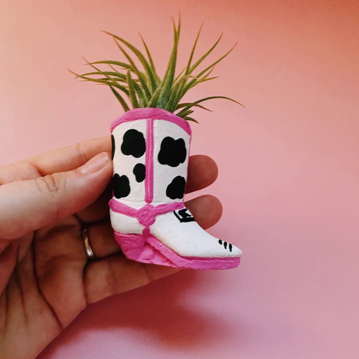 O'Berry's Succulents - Wholesale Live Plant - Cow Print Mini Western Boot Planter and Air Plant2