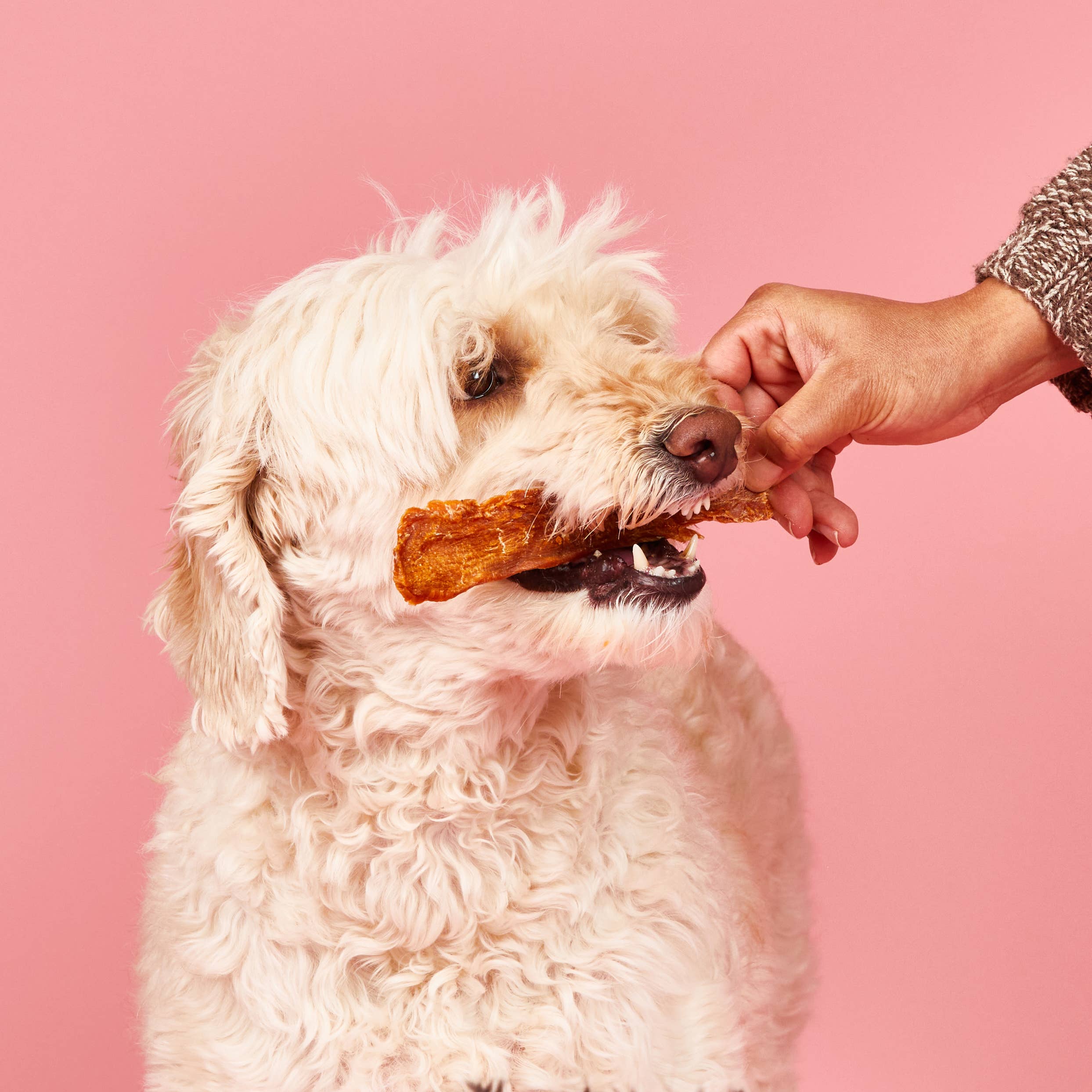 Barkful - Wholesale Pet treats – Dog - Chicken Tender Dog Treats (4 oz Bag)- SINGLE INGREDIENT 3