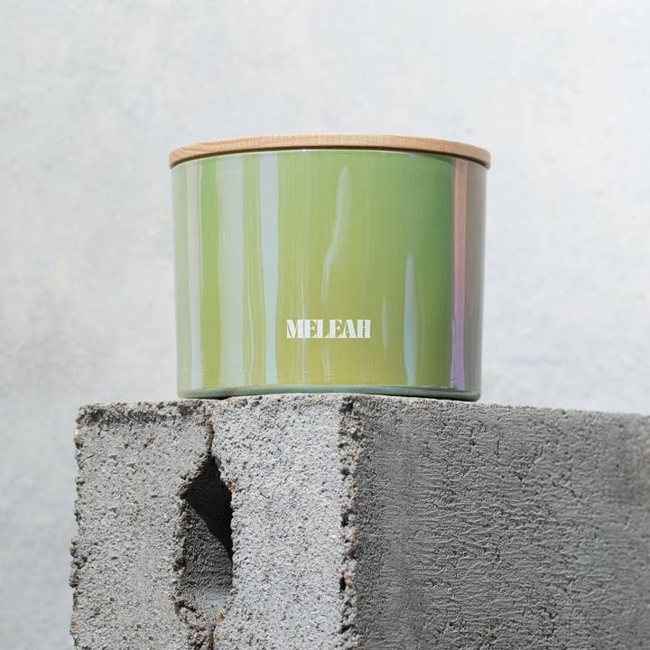 CACTOS FLORESCER por atacado de MELEAH