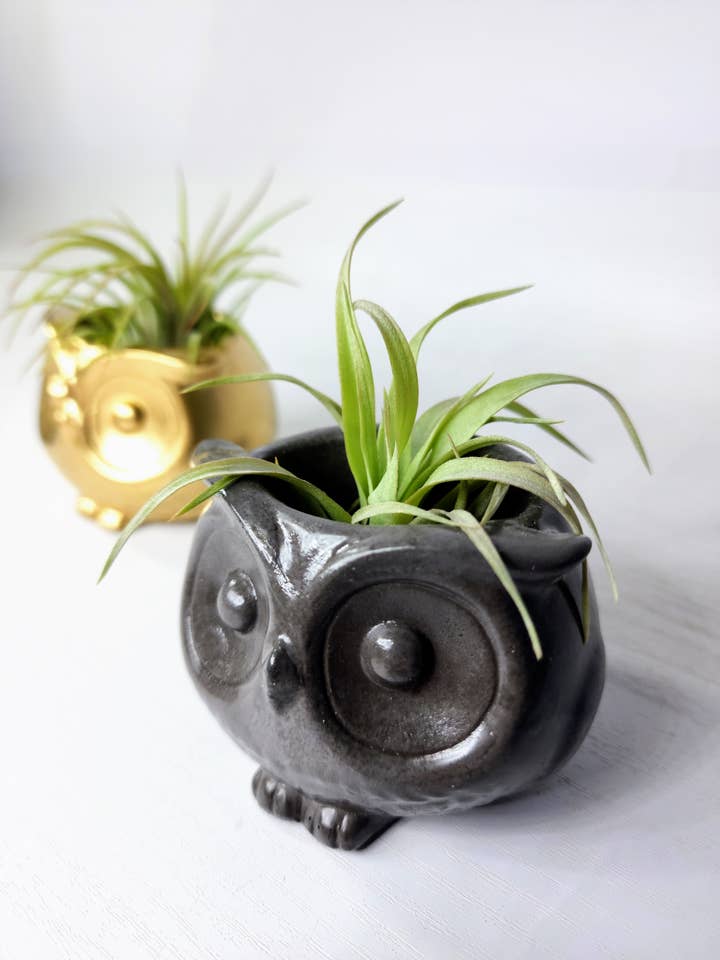 Owl Concrete Vessel | Cute Pottery Animal AirPlant Pot Plant for wholesale by Geoform Designs