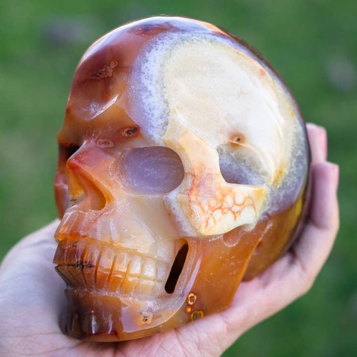 Calavera de cristal de cornalina de 4,25 pulgadas para venta al por mayor de OddNot