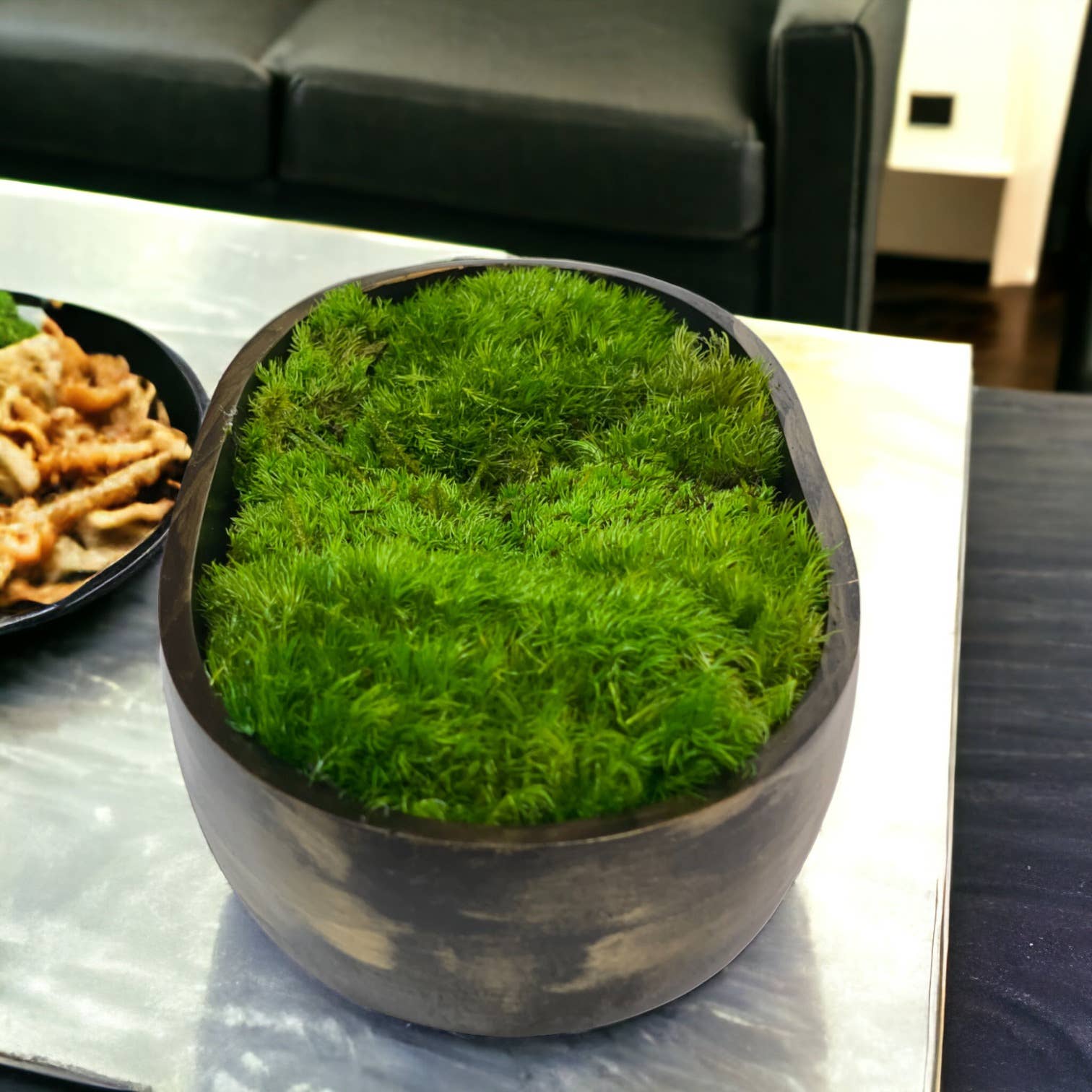 Planters Made in the USA - Wholesale Decorative Tabletop Object - Moss Table Centerpiece Decor Preserved Plant, Forever Green37