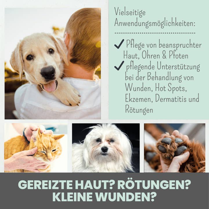 Noms+ - Wholesale Pet Spray - Dog - Silver spray for dogs and cats with 50ppm (100ml)