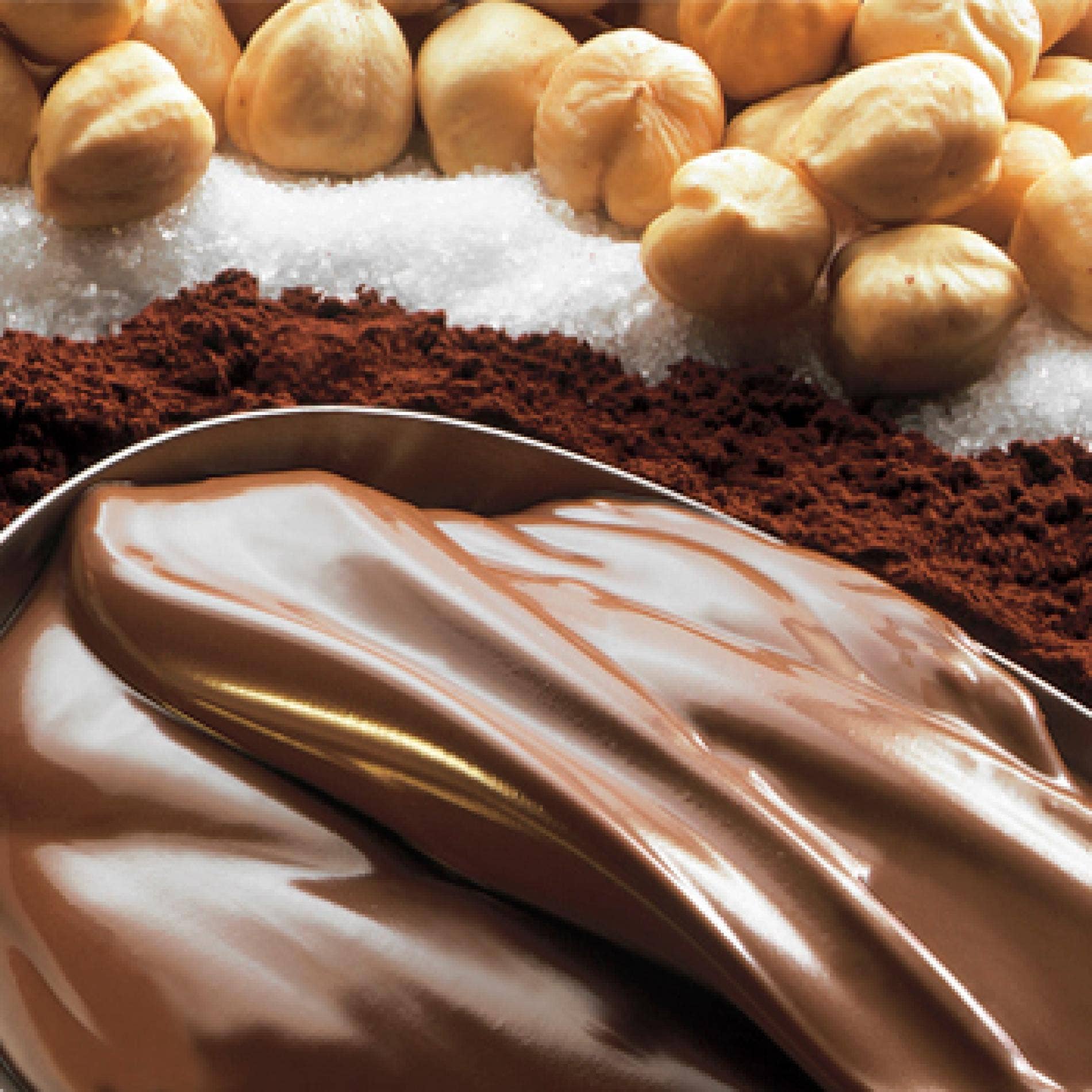 Dolcincasa.com - Venta al por mayor Cremas de frutos secos - Crema de Avellanas (Gianduia) - 500 g1