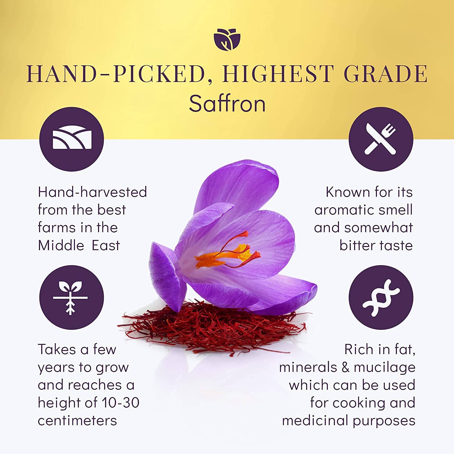 Yaqoot – wholesale Dried spice – Yaqoot Saffron- Pure Red organic reflection Saffron Threads6