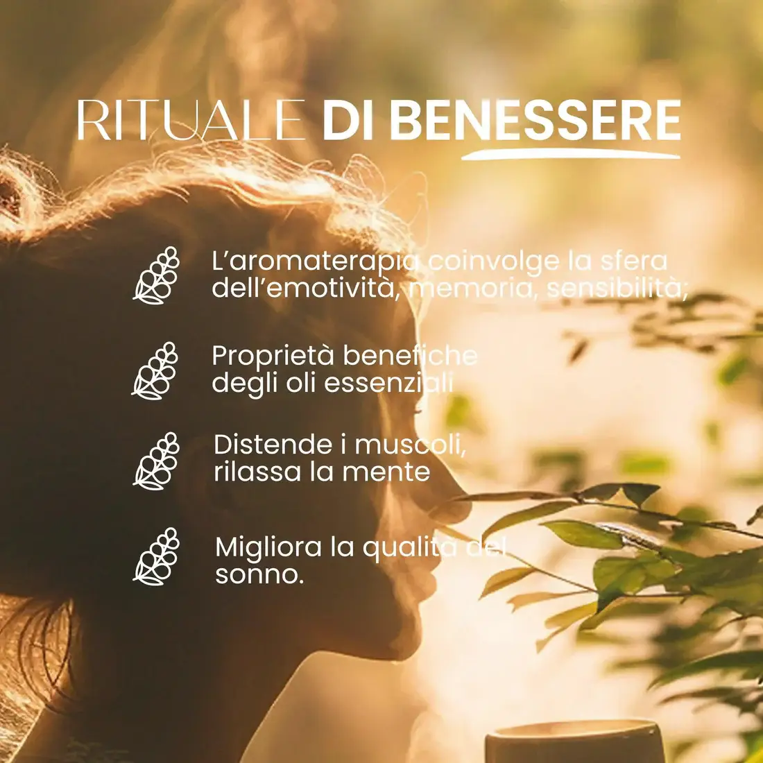 SENSO NATURALE – Großhandel Schmelzwachs – Solid Essence Rose mit Rosenduft gegen Mücken [Limitierte Edition]3