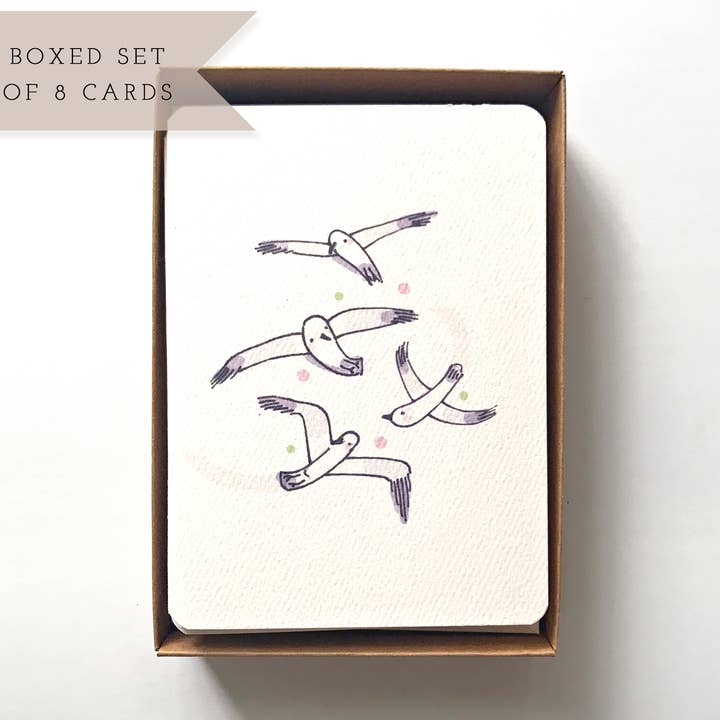 Brevpapper Boxed Set med strand Måsar, 8 tomma Notecards för wholesale av H.macdo Paper Co.