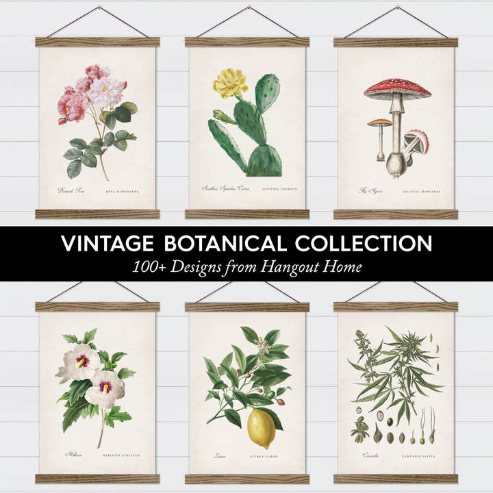 Hangout Home – wholesale Art print – Fresh Fruit Art- Vintage Strawberry Framed Poster Print
