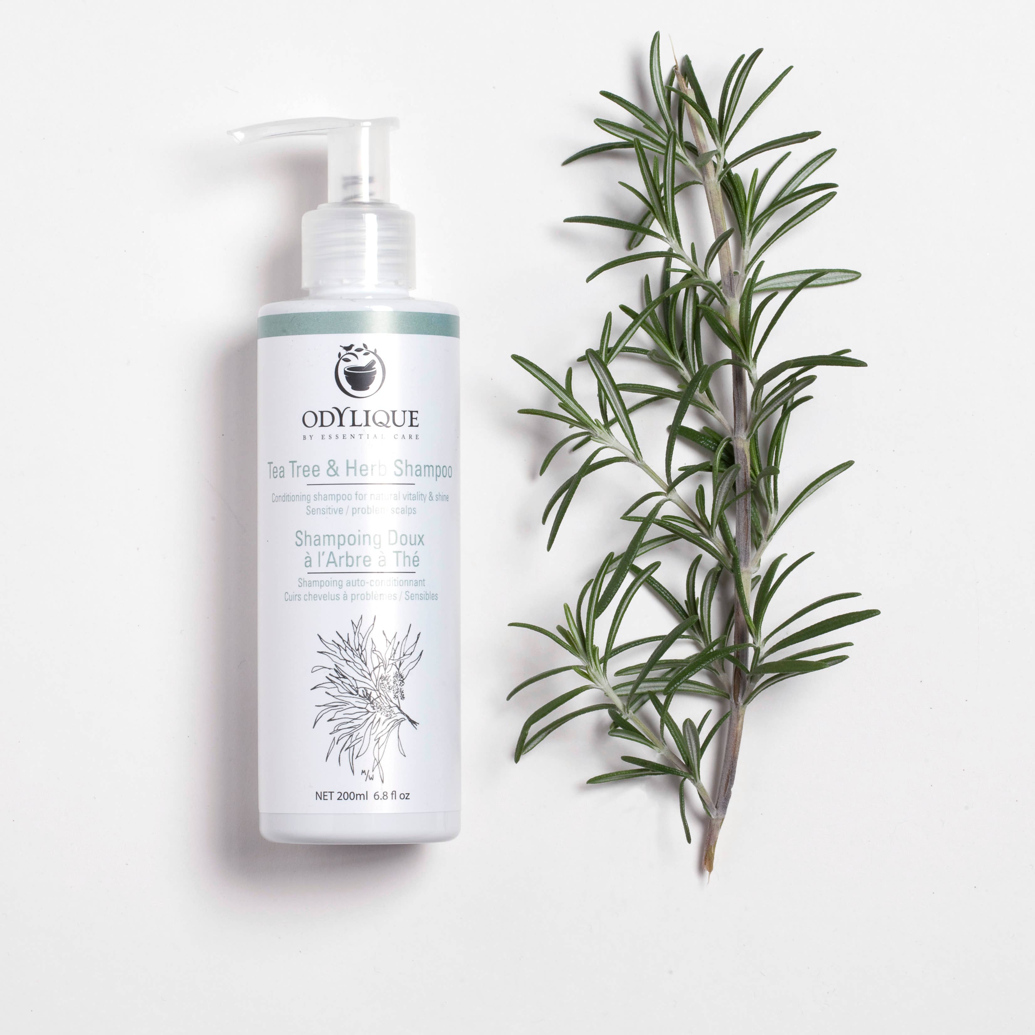 Odylique – wholesale Hair shampoo – Tea Tree & Herb Shampoo3