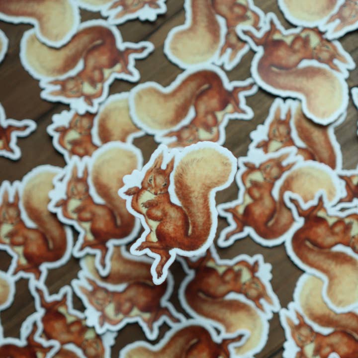 Novel Book Store - Wholesale Sticker - Sticker - Squirrel Nutkin