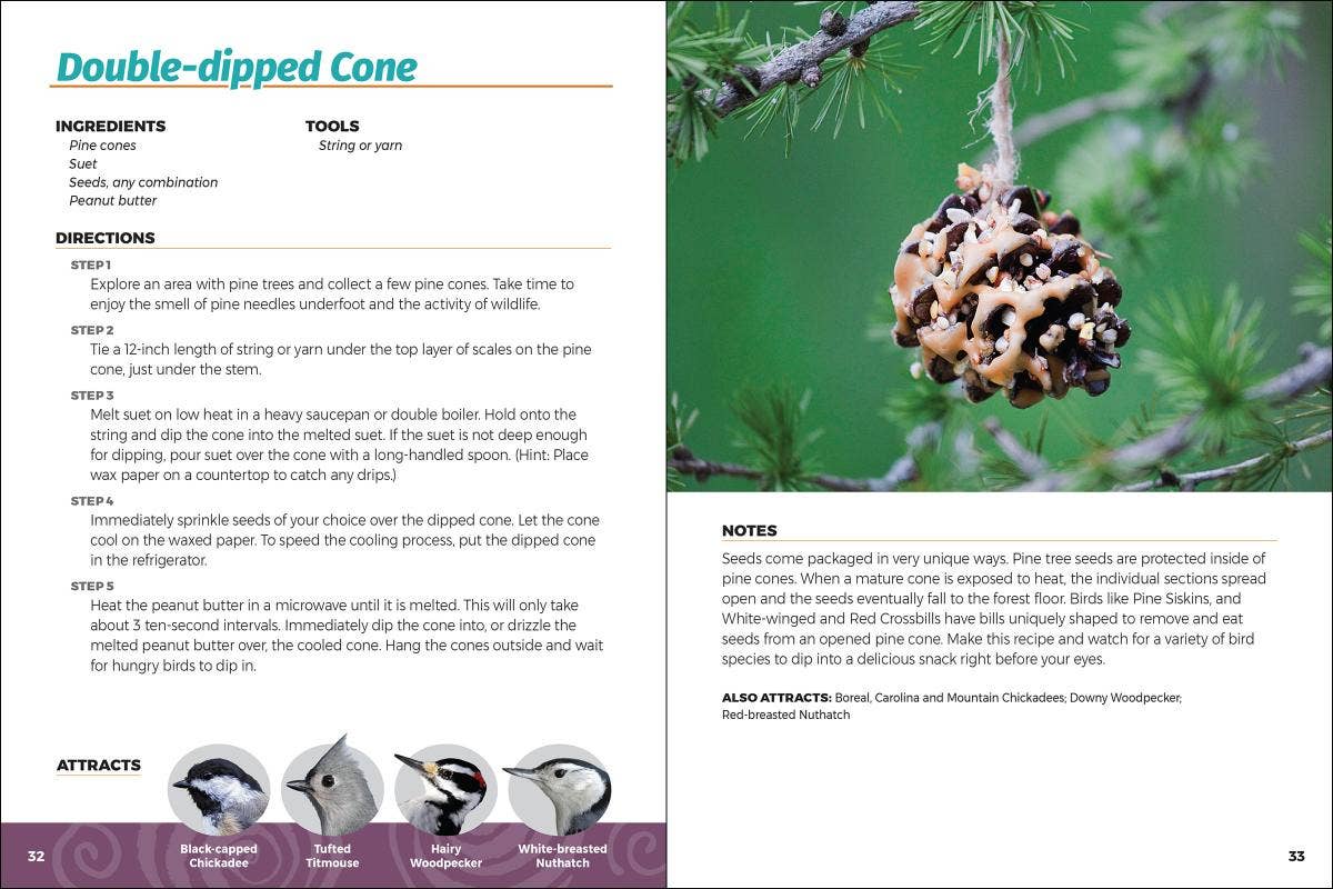 AdventureKEEN - Wholesale Nature & Outdoors - Homemade Bird Food 2e2