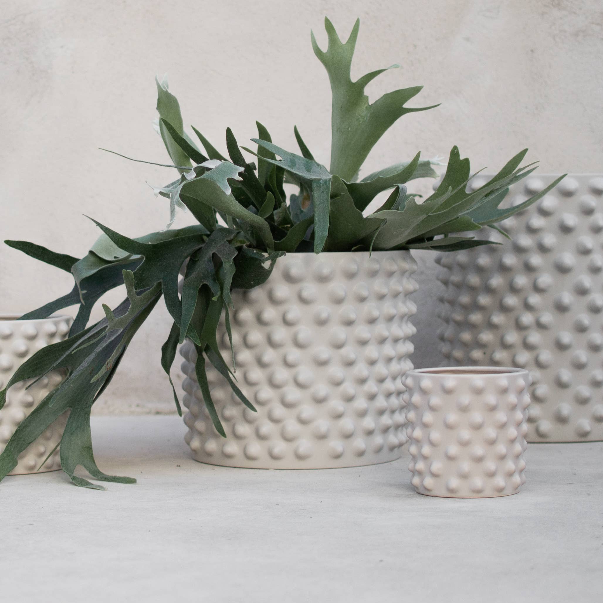 DBKD - Vente Pot - CLOUDY Medium - grège0