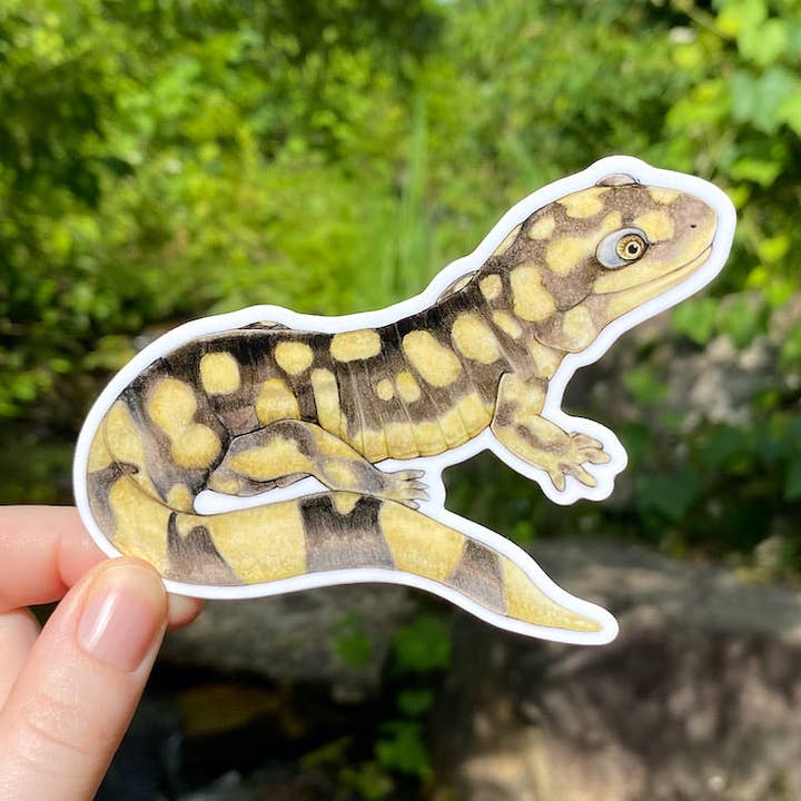 Wetterfester Vinyl-Aufkleber Tiger Salamander für den Großhandel von Allison Stoiser Art