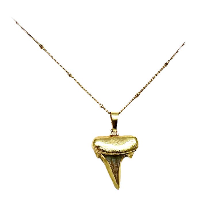 Shark Tooth Necklace for wholesale by Strutt Jewelry