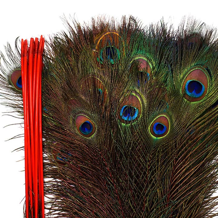 Peacock Tail Eyes Stem Dyed - 25-40 Inch - 100 PCS - Red for wholesale by Zucker Feather Products