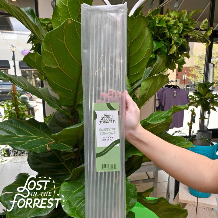 Lost in the Forrest - Wholesale Garden Tool - Glassvine Support2