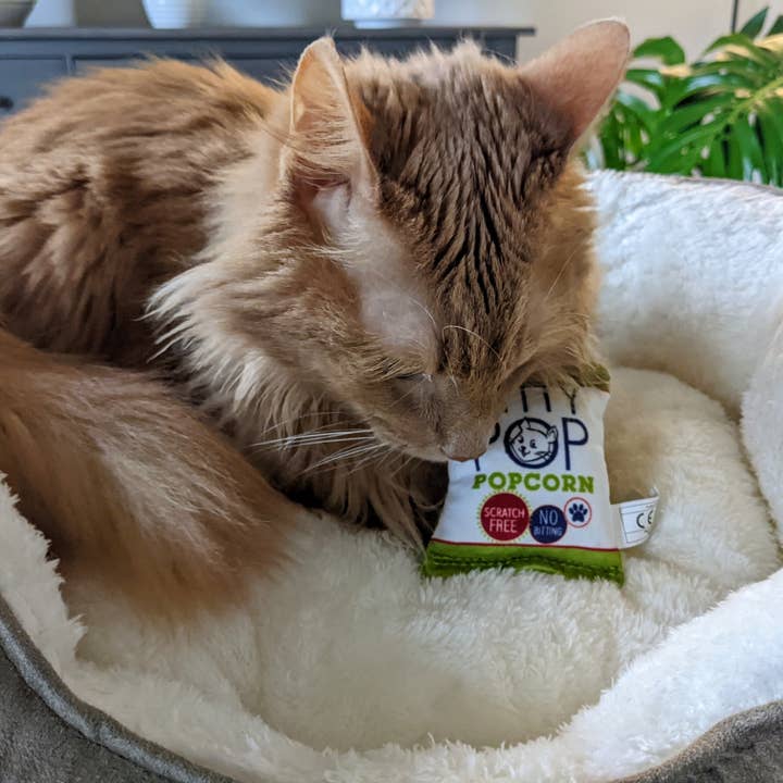 Huxley & Kent - Wholesale Speeltje - Kat - Kitty Pop Katten Speelgoed2