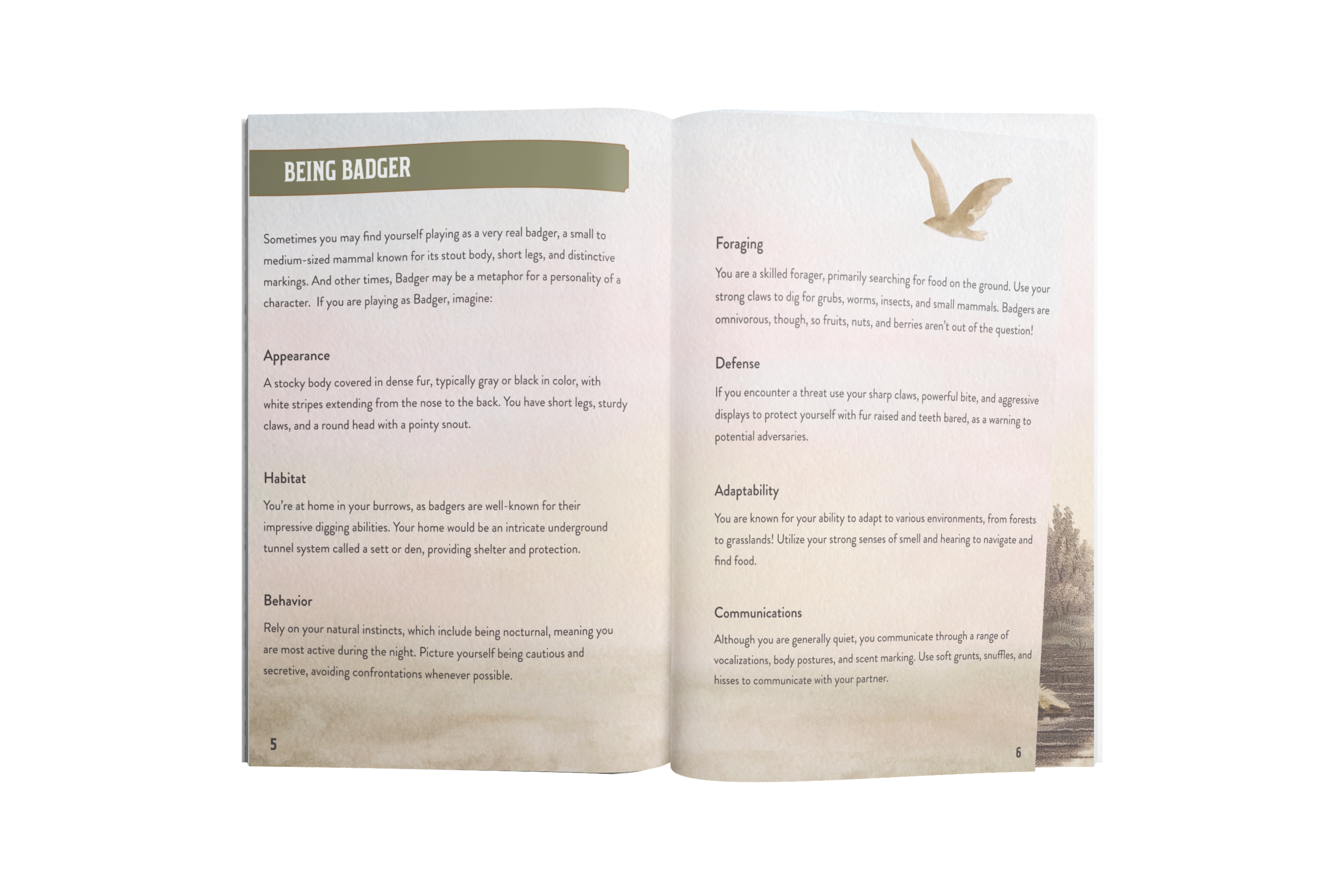 Pandion Games - Wholesale Board Game - Badger + Coyote10