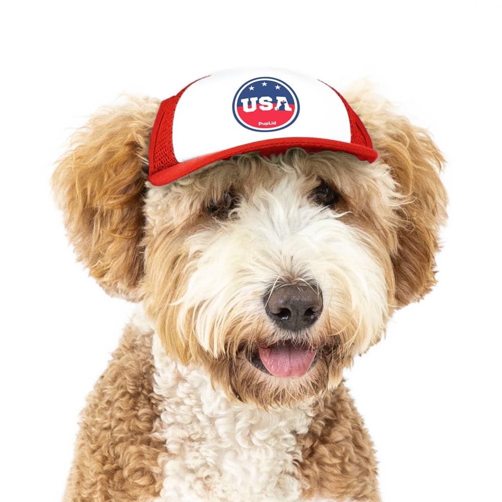 PupLid – wholesale Hatt - Hund – USA Stars Design l Truckerhatt för hundar15