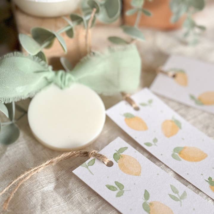 Menta Atelier - Vendita all'ingrosso Deodorante per ambienti - Deodorante per ambienti solido | Sphere7