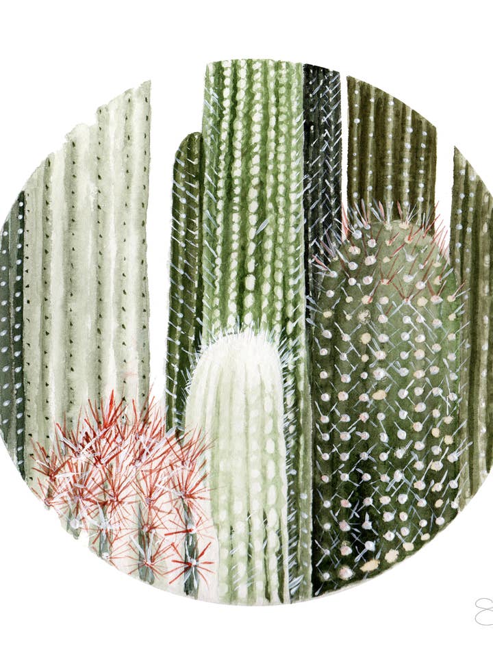 Cirkulær kaktus akvarel maleri — Print for engroshandel hos Shealeen Louise