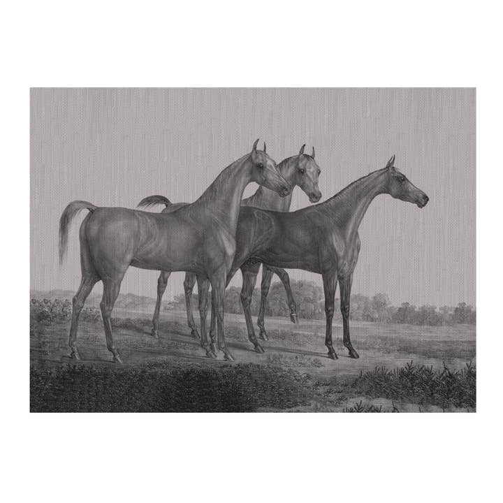 Décoration murale en tissu Motif chevaux de race pure pour la vente par SPLASHWORKS