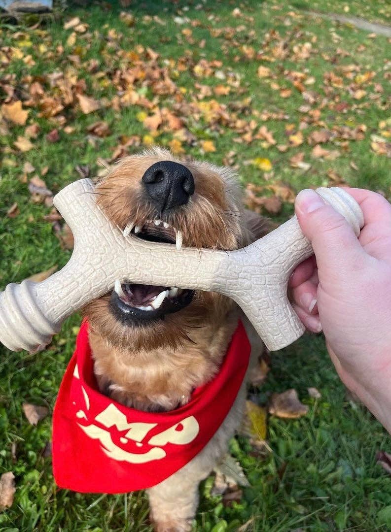 Yomp - Wholesale Pet Chew Toy - Dog - Barkin' Bone: All-Natural Chew Stick for Dogs5