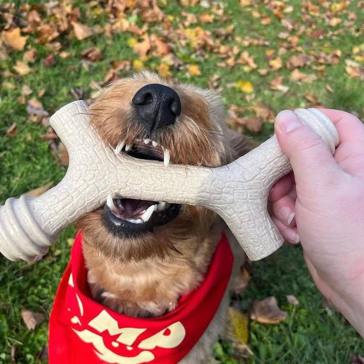 Yomp - Wholesale Pet Chew Toy - Dog - Barkin' Bone: All-Natural Chew Stick for Dogs5