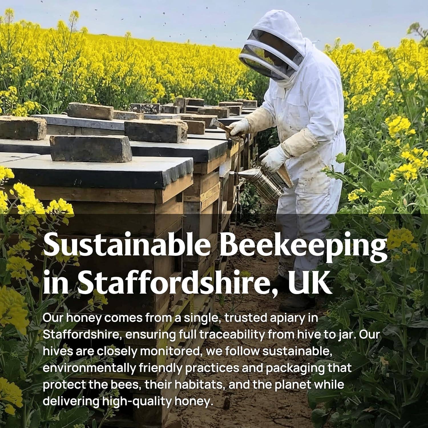 Honey & Greens – wholesale Honey – British Raw Wildflower Honey - Lab Tested & Certified6