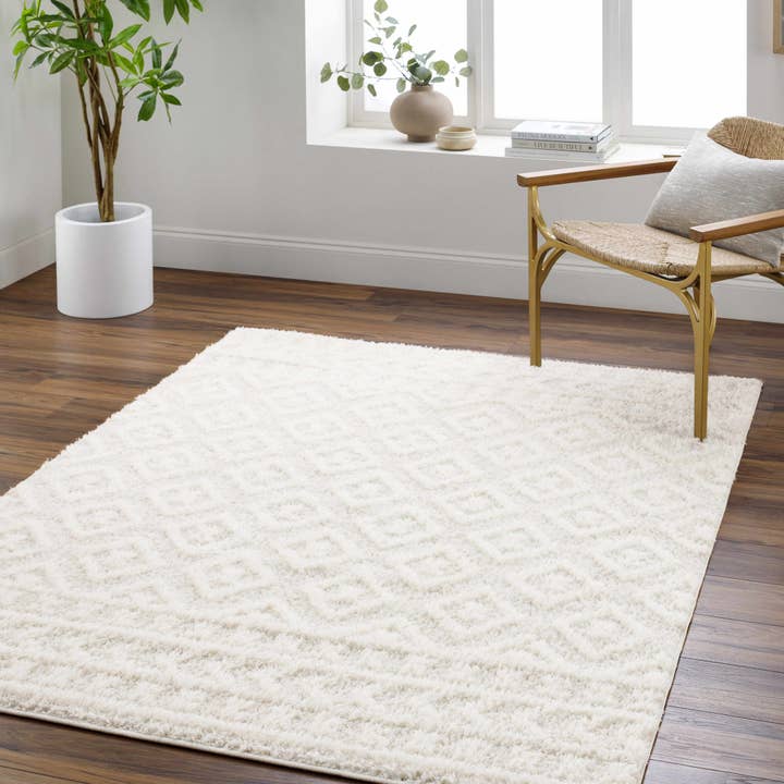 Hauteloom - Wholesale Area Rug - Eivin Cream Area Rug8