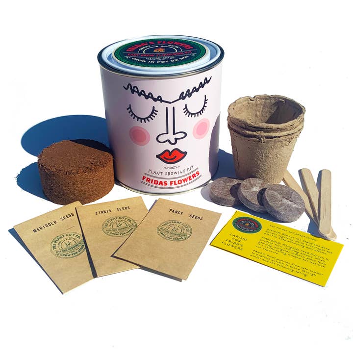 The Plant Gift Co. – wholesale Plant seeds – Frida's Flowers. Eco Grow Your Own Plant, Gardening Kit.