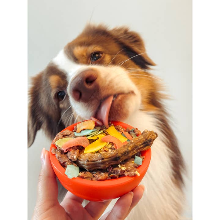 Doggotique - Wholesale Pet Bowl - Cat/Dog - Paw Bowl Snack Toy for Dogs, Slow Bowl Dog,13