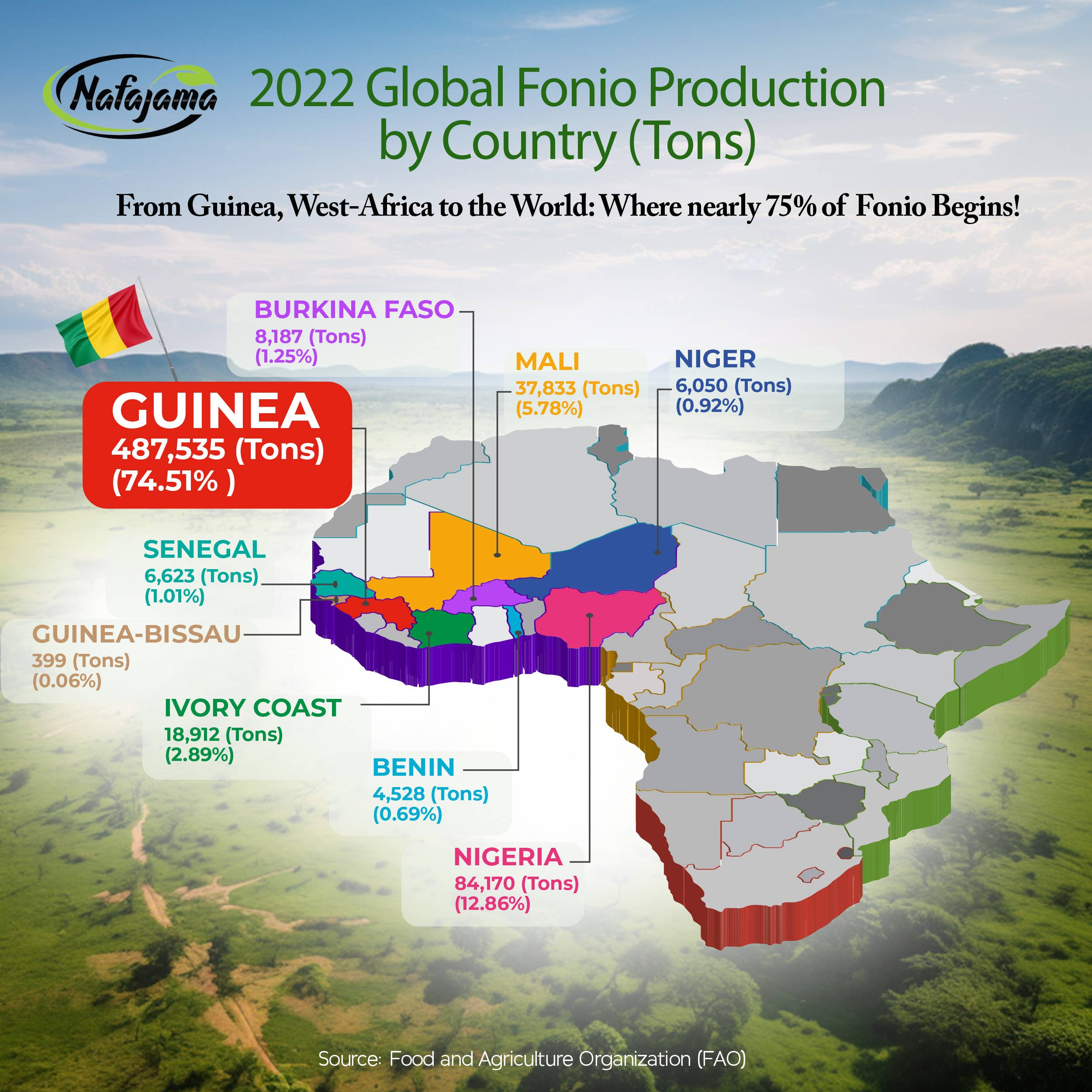 Nafajama - Vendita all'ingrosso Farine - Farina di Fonio Bianco Premium Nafajama - 1 Pallet (1000 kg)7