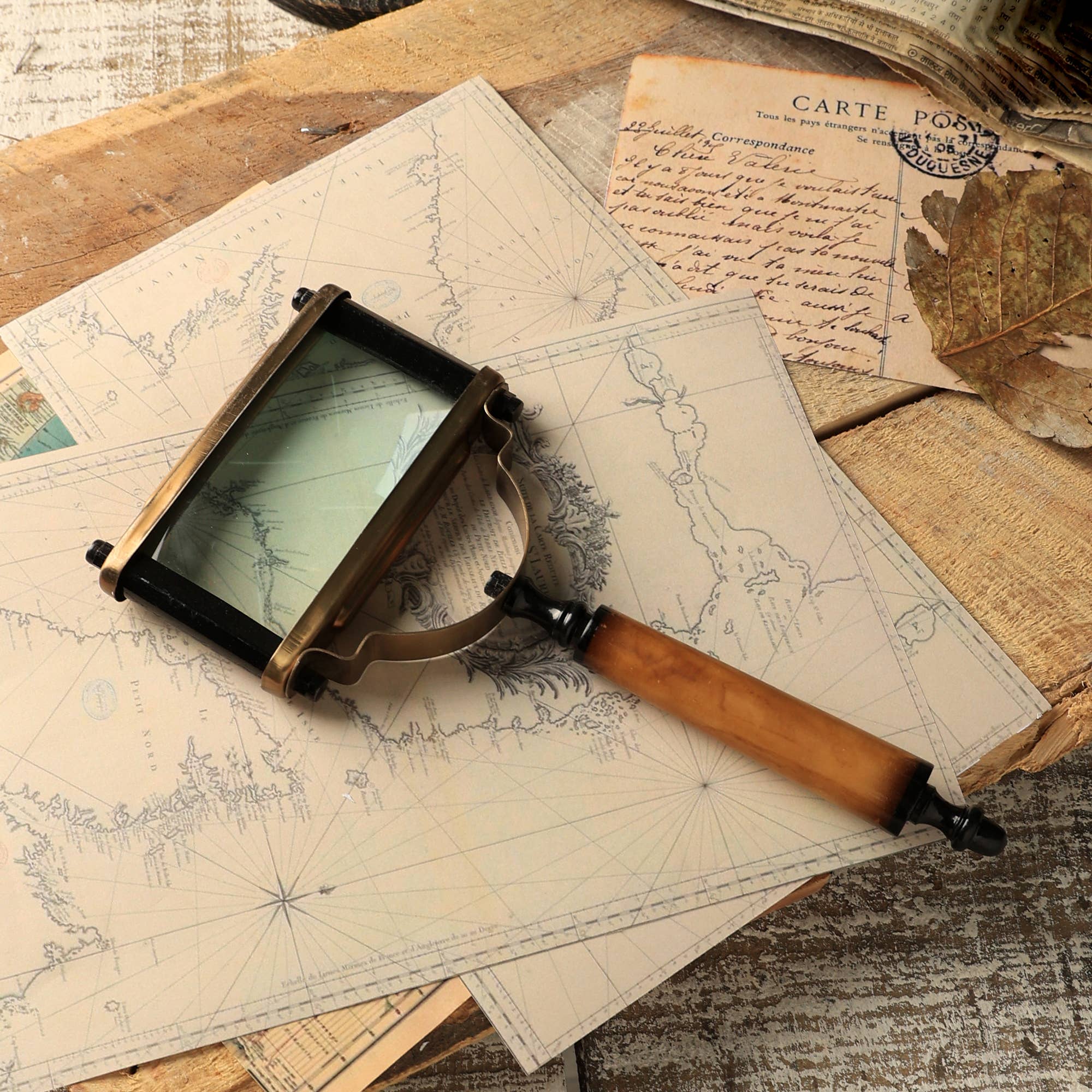 ExpoBazaar - Vente Loupe - Loupe artisanale pour une vue détaillée claire19