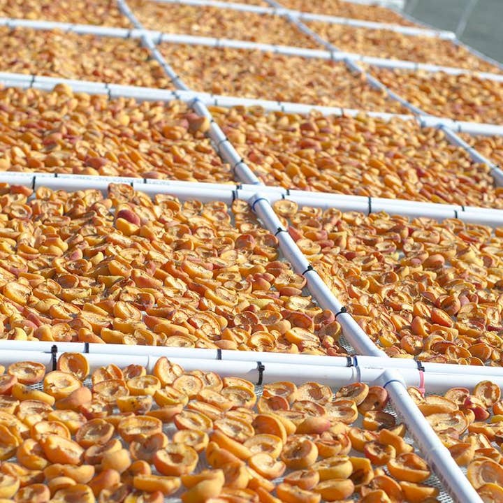 Frog Hollow Farm - Wholesale Dried/dehydrated fruit - Organic Dried Peaches4