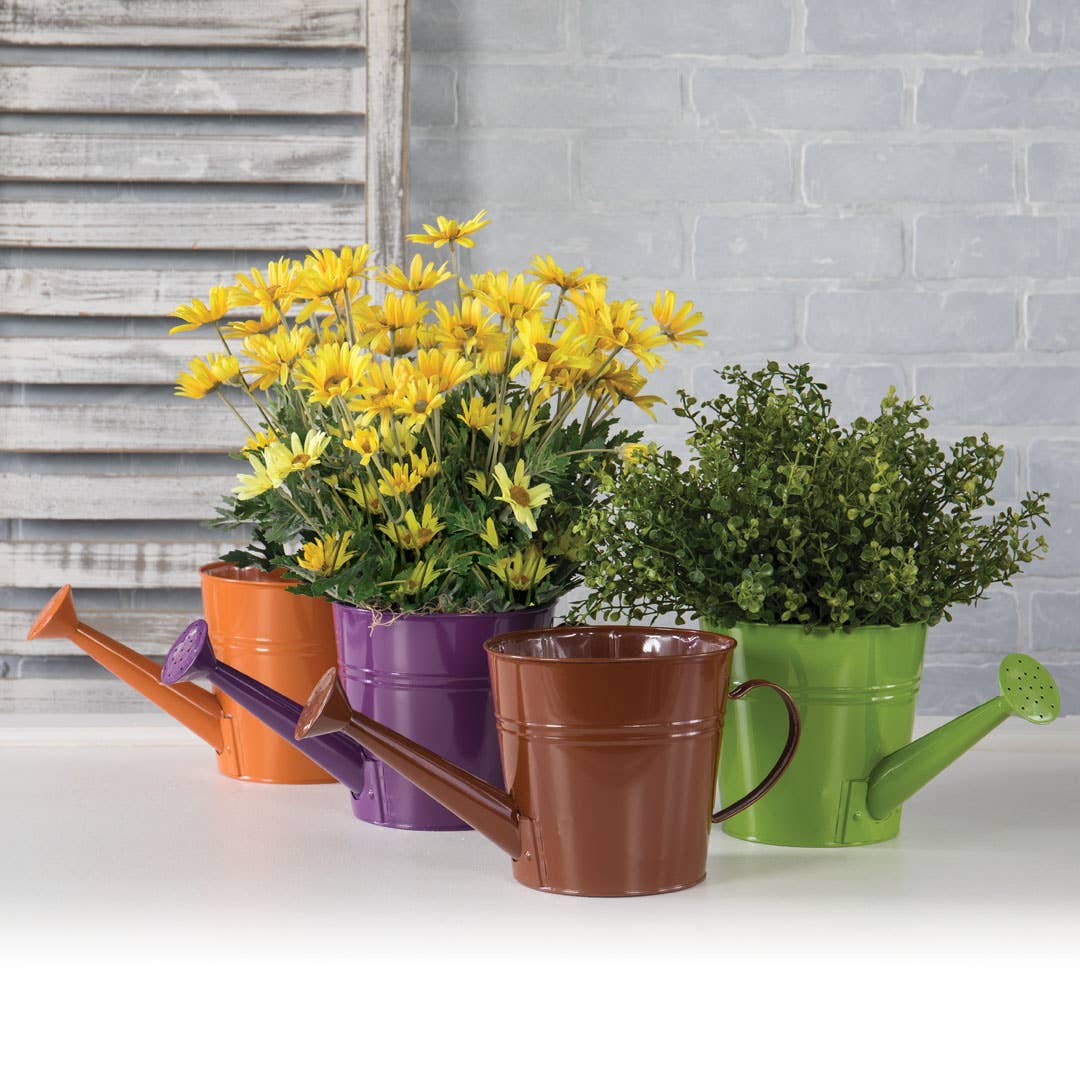 Willow Group - Wholesale Watering Can - Bright Colors Watering Can Tin Planter1