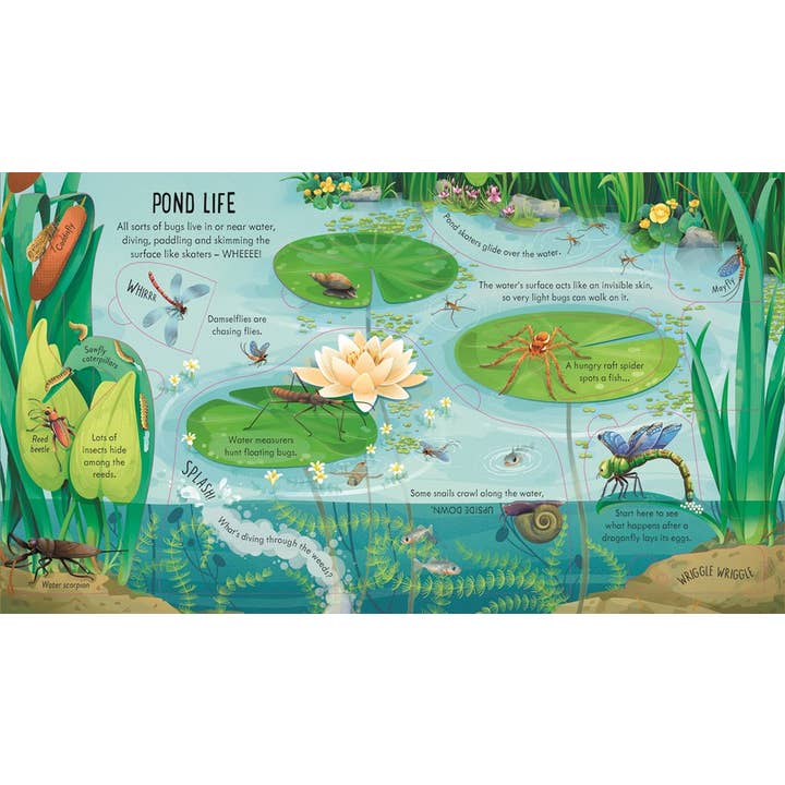 HarperCollins - Wholesale Nature & Outdoors - Look Inside Bug World : Usborne3
