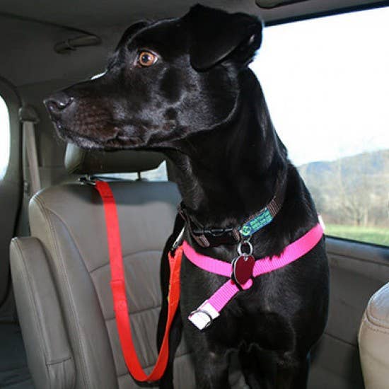 Walk Your Dog with Love Car Safety Belt for wholesale by Cotswold Pet Supplies