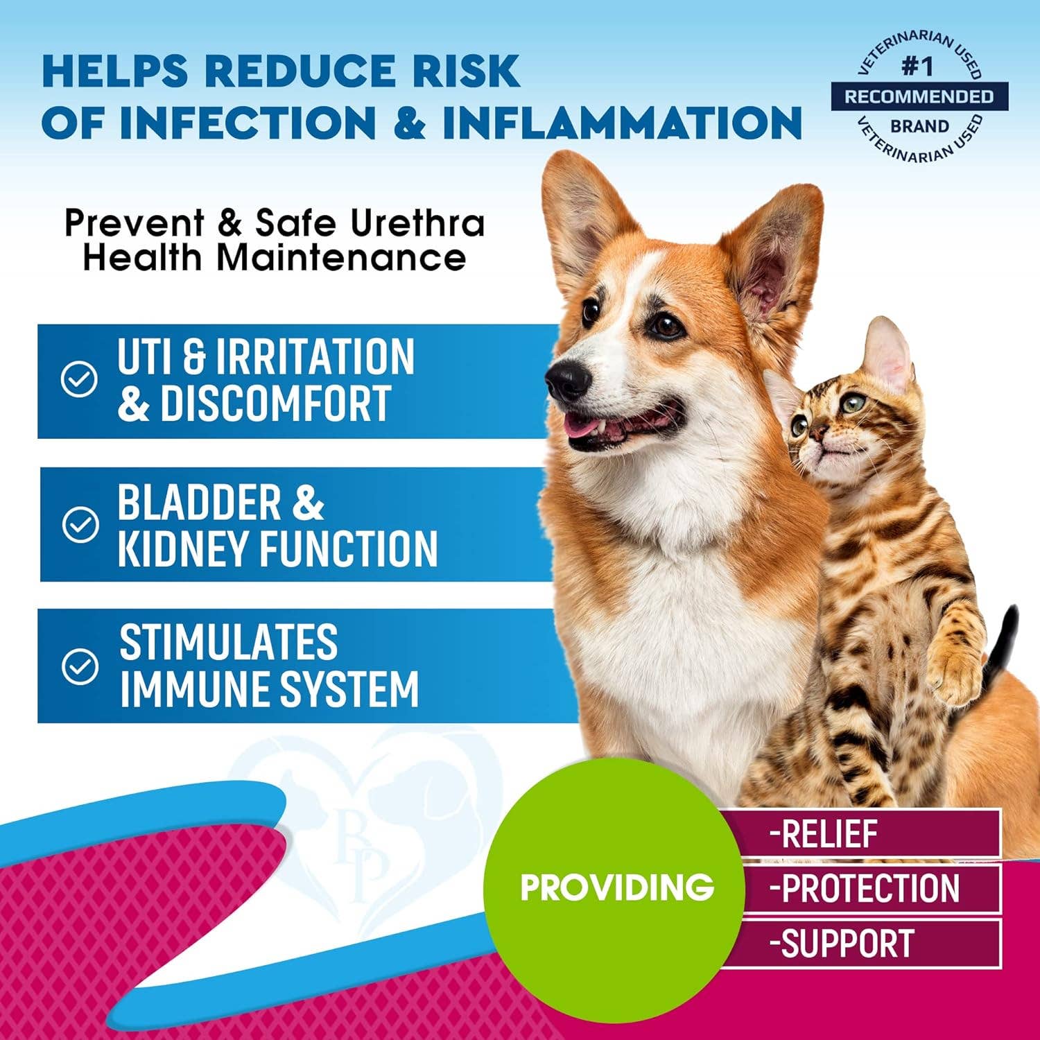 Dog uti treatment cost best sale