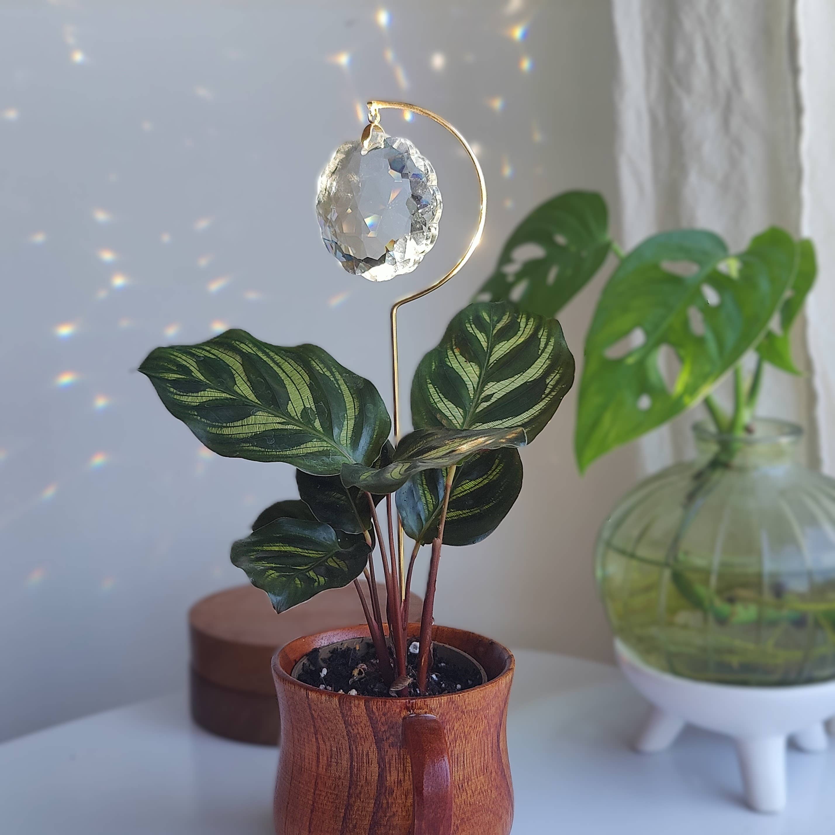 Atelier Intuitive – wholesale Prydnad – FLOWER • Solfångare i mässing och kristall för växter2