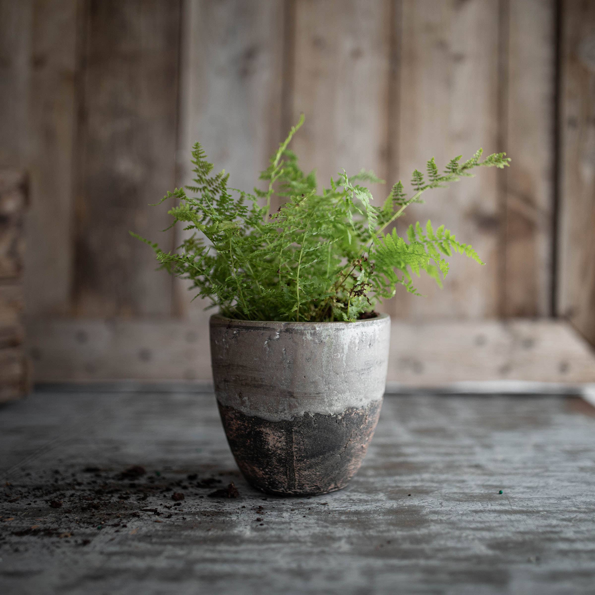 Foreside Home & Garden - Wholesale Plant Pot - SALE - Gita Small Gray Terracotta Garden Planter Pot