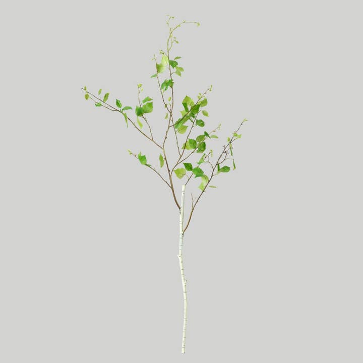 Artificial Birch Leaf Branch - 52" for wholesale by Afloral